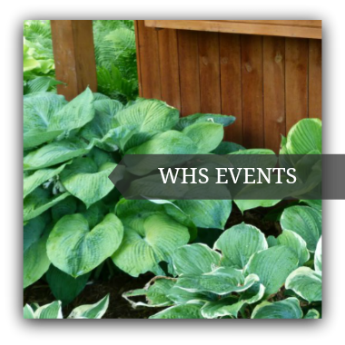 Events Wisconsin Hosta Society